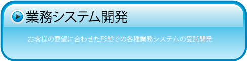 業務システム開発